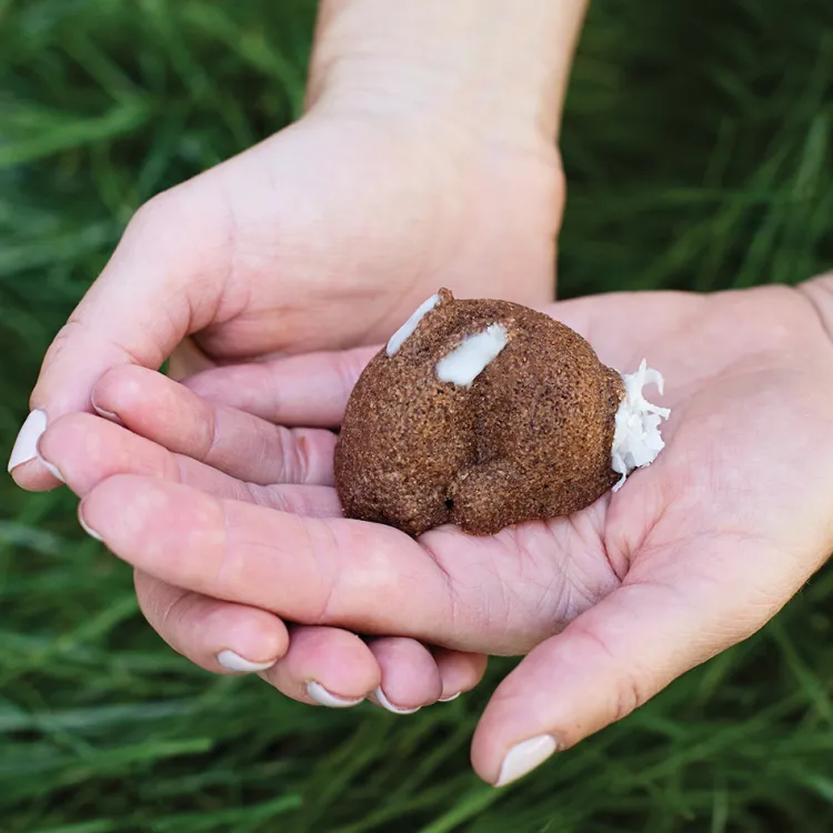 Baby Bunny Bites Cakelet Pan
