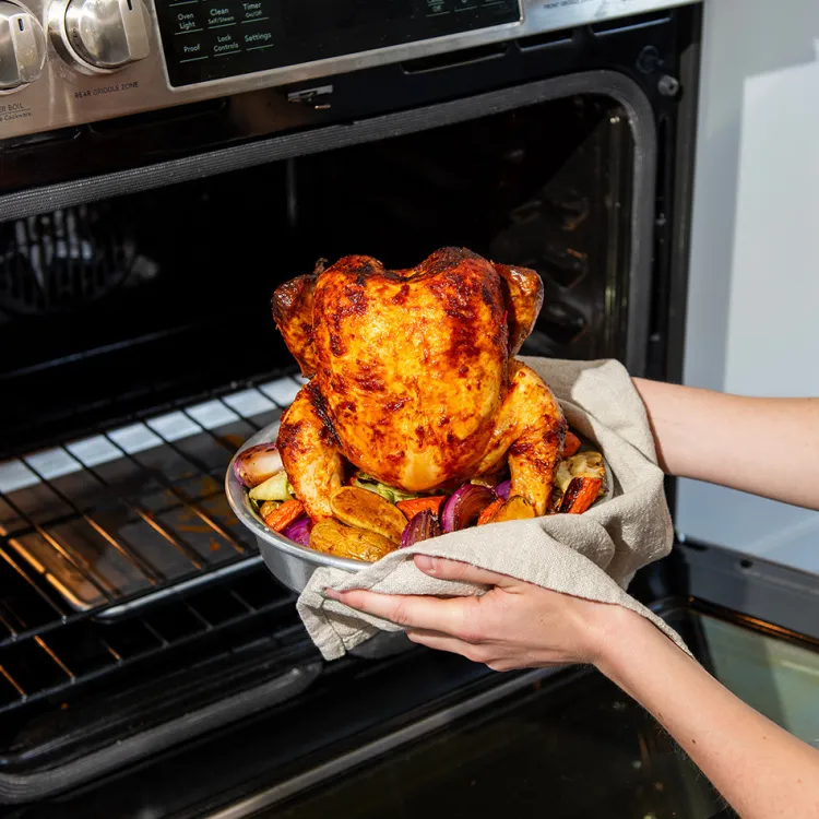 Chicken Roaster Grill Set with Rack and Pan
