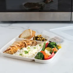 Divided Dinner Tray with Lid