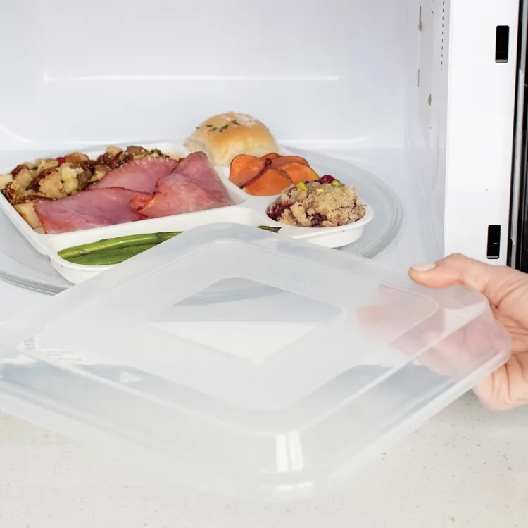 Divided Dinner Tray with Lid