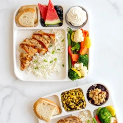 Divided Meal Tray - Set of 2