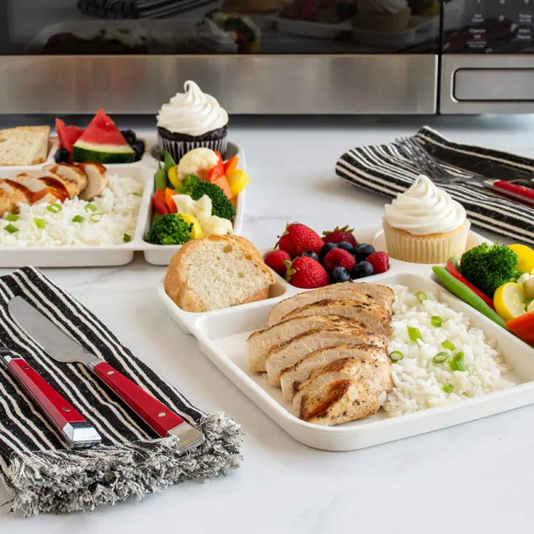Divided Meal Tray - Set of 2