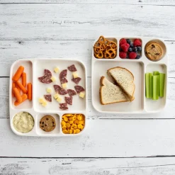 Divided Meal Tray - Set of 2