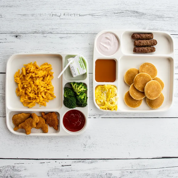 Divided Meal Tray - Set of 2