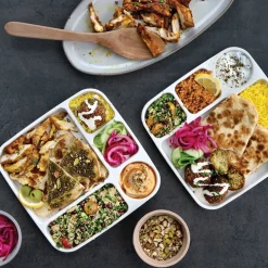 Divided Meal Tray - Set of 2