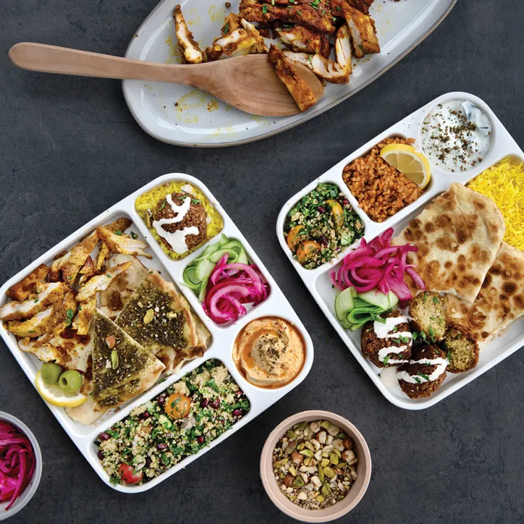 Divided Meal Tray - Set of 2
