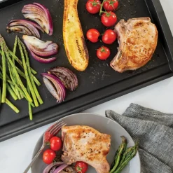 Double Backsplash Griddle