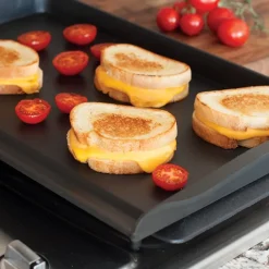 Double Backsplash Griddle