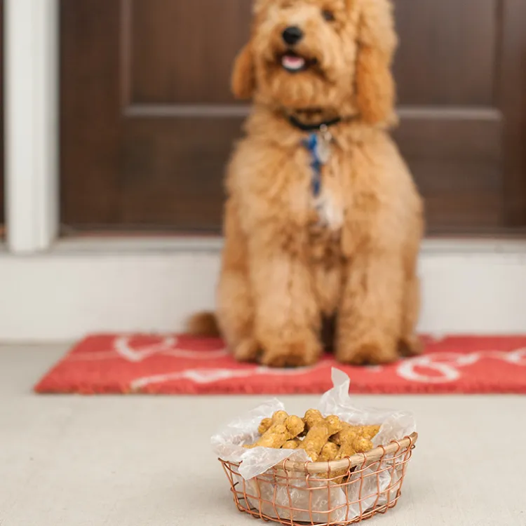 Homemade Dog Treat Mix