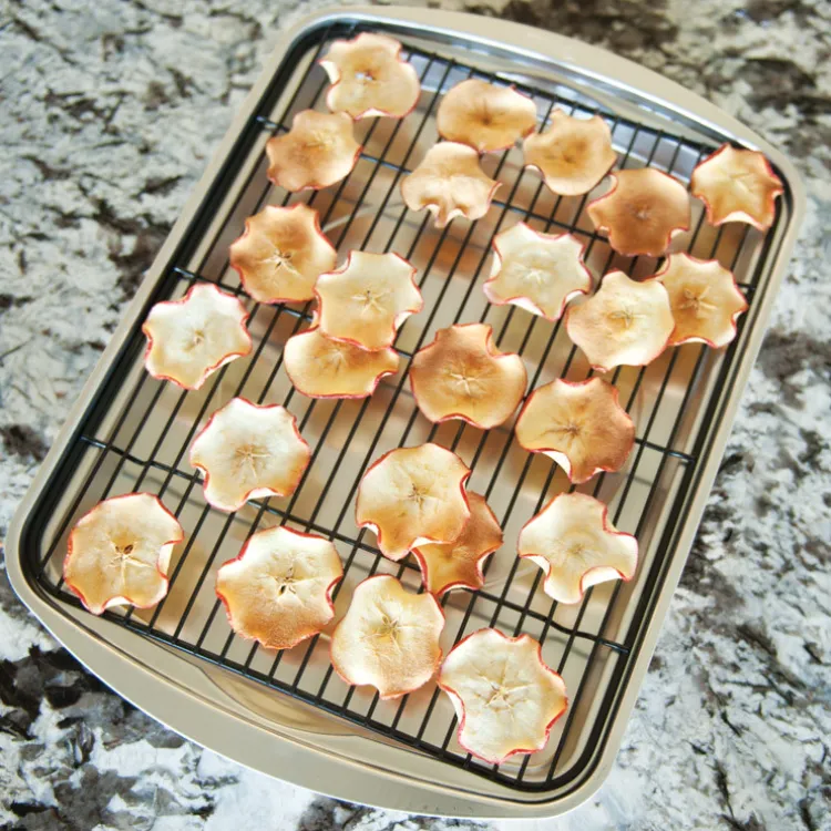 Oven Crisp Baking Tray
