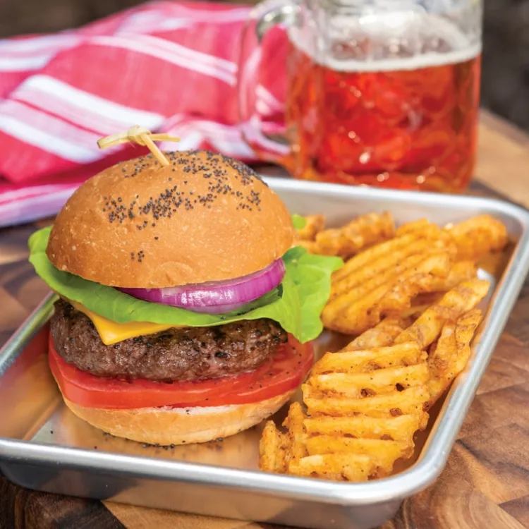 2 Pack Burger Serving Trays