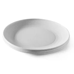 Set of 4 Microwave Safe Picnic Plates