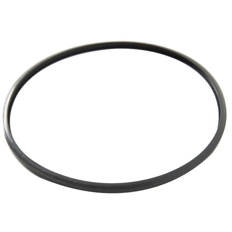 Tender Cooker Gasket