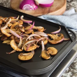 Two Burner Reversible Griddle